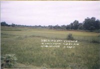 SEEDS - Image Gallery